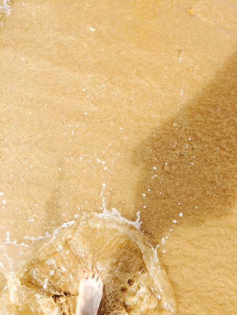 해변 에 물 이 어지면서 서 있는 여자 의 낮은 부분