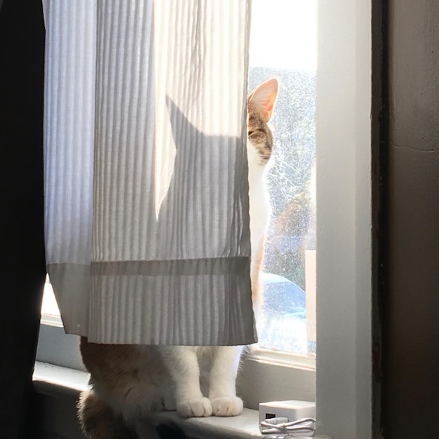 Photo low section of woman standing by window at home