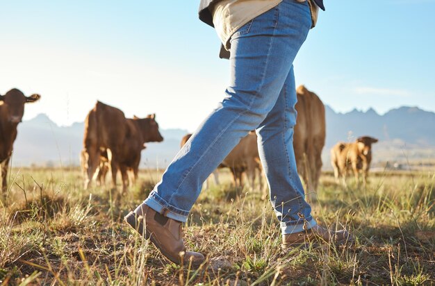 Foto sezione bassa di una donna in piedi sul campo