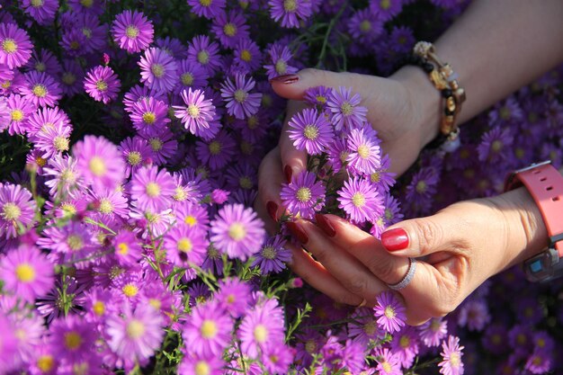 Low section of woman standing on purple flowering plants