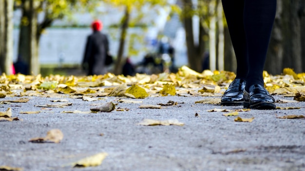 Low section of woman standing on road by autumn leaves