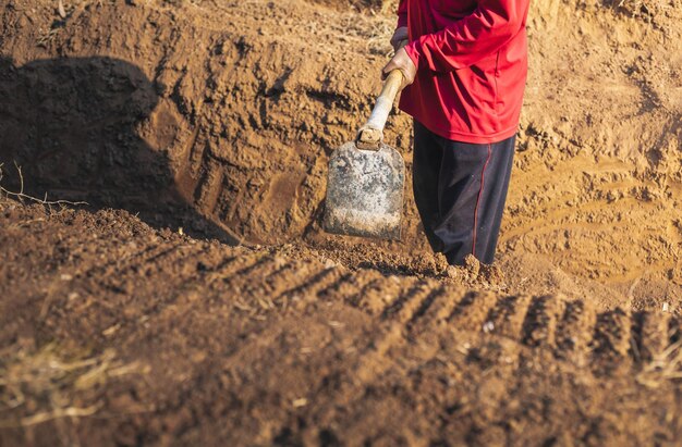 Low section of woman standing on sand