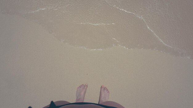 Low section of woman standing on shore at beach