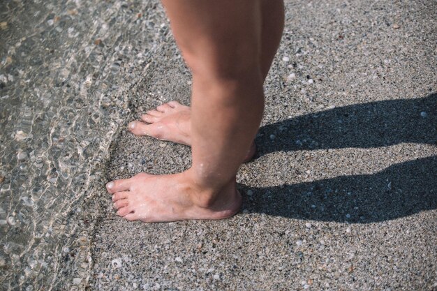 Photo low section of woman standing on shore at beach