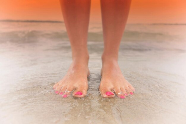 Foto sezione bassa di una donna in piedi a riva sulla spiaggia