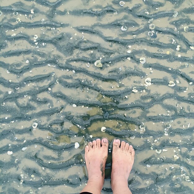 Low section of woman standing in water