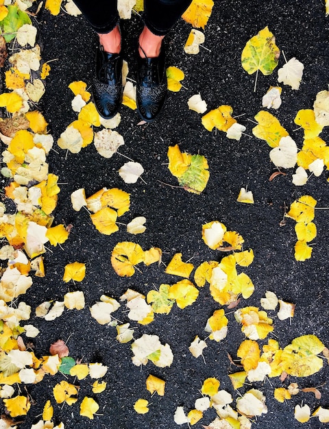 Low section of woman standing on yellow leaves