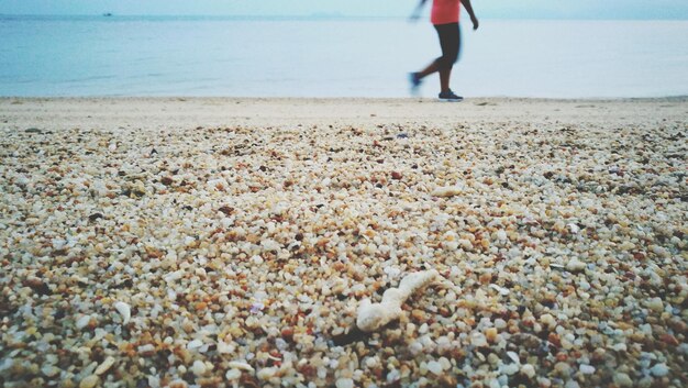 Low section of woman walking on beach