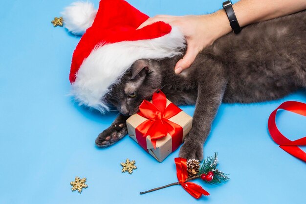 Foto sezione bassa di una donna con un cane sull'albero di natale