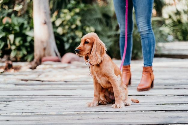 Foto sezione bassa di una donna con un cane sul molo