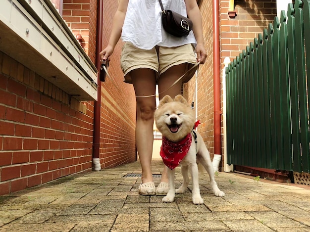 歩道に立っている犬を持つ女性の下部