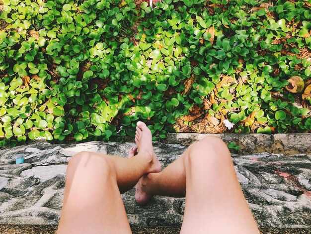 Photo low section of young woman sitting on retaining wall by plants