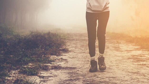 Foto sezione bassa di una giovane donna che cammina nella foresta durante il tempo nebbioso