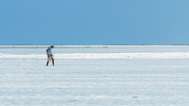 Low tide in Zanzibar. African girl walks on water. Zanzibar.