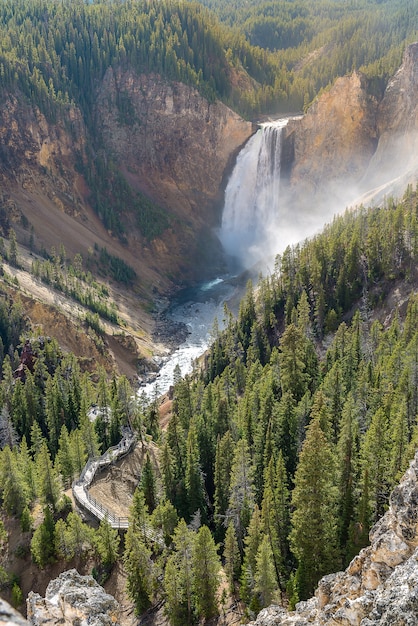 lower falls in Yellowstone National Park