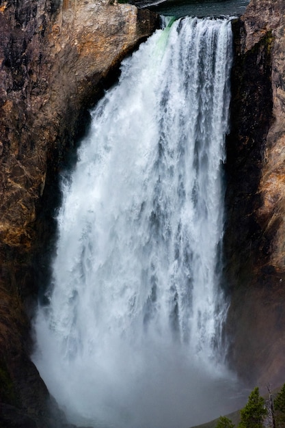 Lower Yellowstone Falls