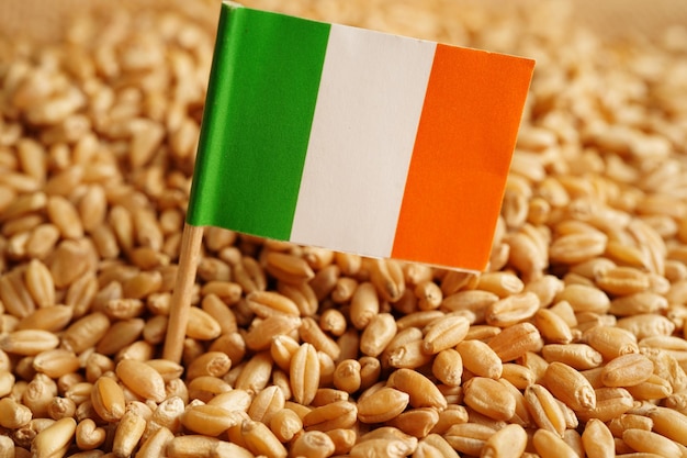 Lreland on grain wheat trade export and economy concept