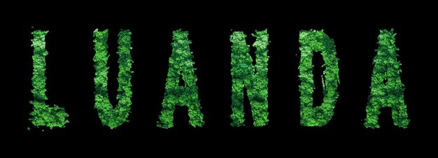 Luanda lettering Luanda Forest Ecology Concept