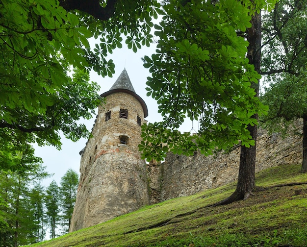 Lubovna kasteel (Slowakije) zomer uitzicht. Gebouwd in 1280 y Poolse hertog Boleslaw.