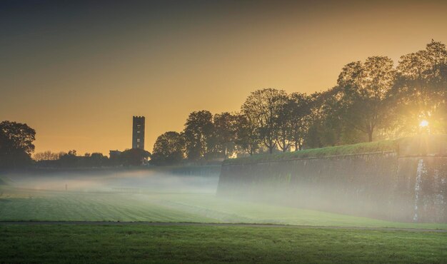 Lucca city walls and trees at sunrise Tuscany Italy