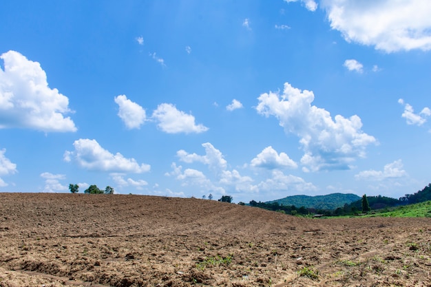 Lucht en landschap prachtig. hebben grondvoorbereiding voor Farming