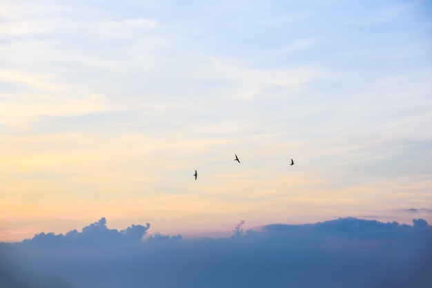 Lucht en wolken