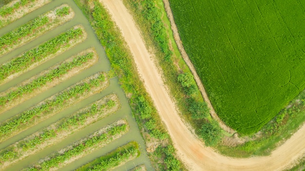 Lucht hoogste mening van groene landbouwgebieden