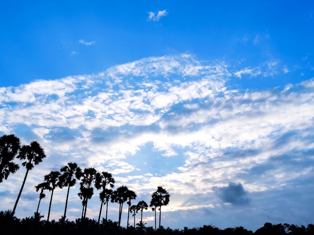 Lucht met blauwe en witte wolken op daglicht