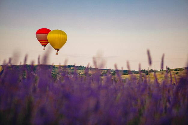 Luchtballon met mand boven lavendelveld kopieerruimte