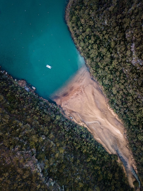 Luchtbeeld van bomen vanaf de zee