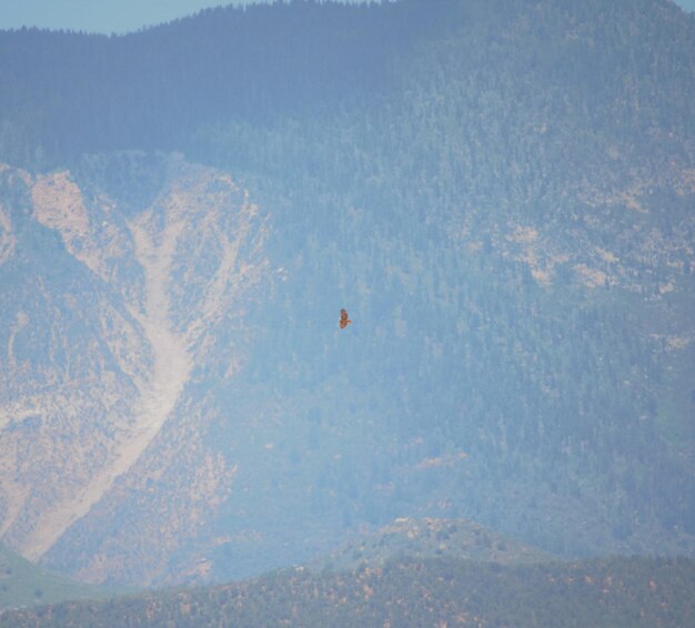 Luchtbeeld van de berg