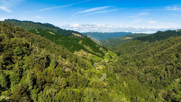 Foto luchtbeeld van de prachtige weelderige dichte inheemse bossen en bossen van nieuw-zeeland