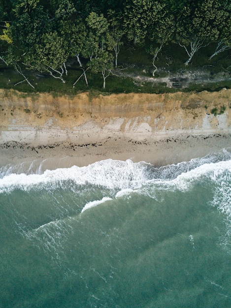 Luchtbeeld van de zee door bomen