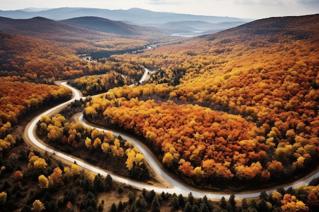 Luchtbeeld van een afgelegen herfstbosweg