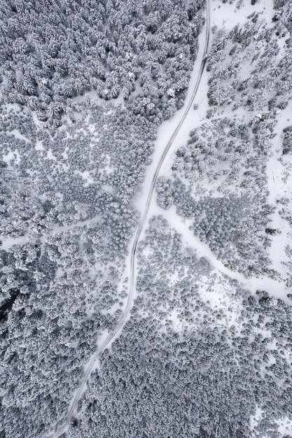 Luchtbeeld van een besneeuwd dennenbos en een wandelpad in de Oostenrijkse bossen in Styrië in de winter