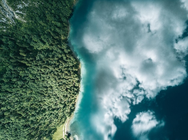 Foto luchtbeeld van een bos bij een meer met reflectie