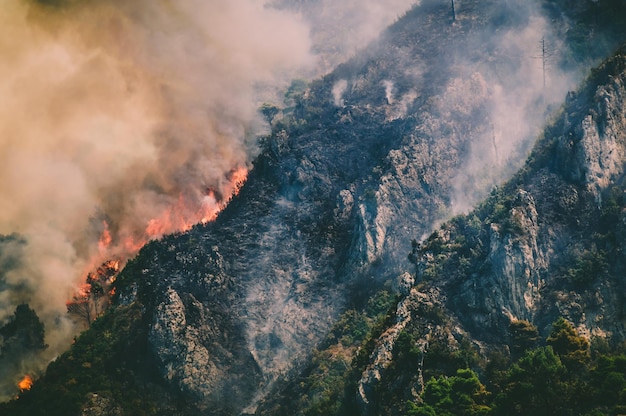 Luchtbeeld van een bosbrand