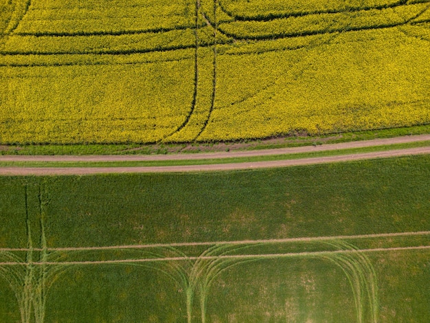 Luchtbeeld van een geel koolzaadveld en een groen tarweveld verdeeld door een rustieke onverharde weg