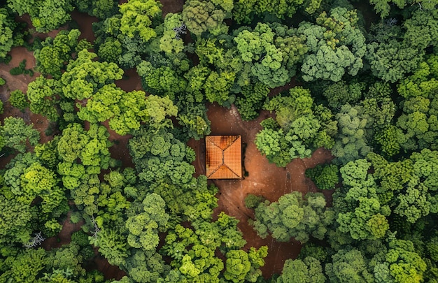 Luchtbeeld van een houten hut in het bos Huis gemaakt van bomen