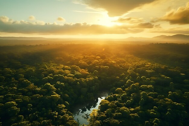 Luchtbeeld van een prachtige zonsondergang over het bos en het meer in de ochtend