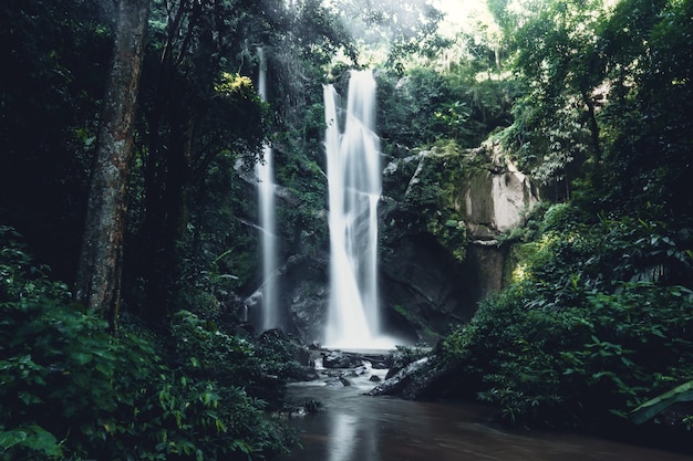 Luchtbeeld van een waterval te midden van dennenbomen in het bos