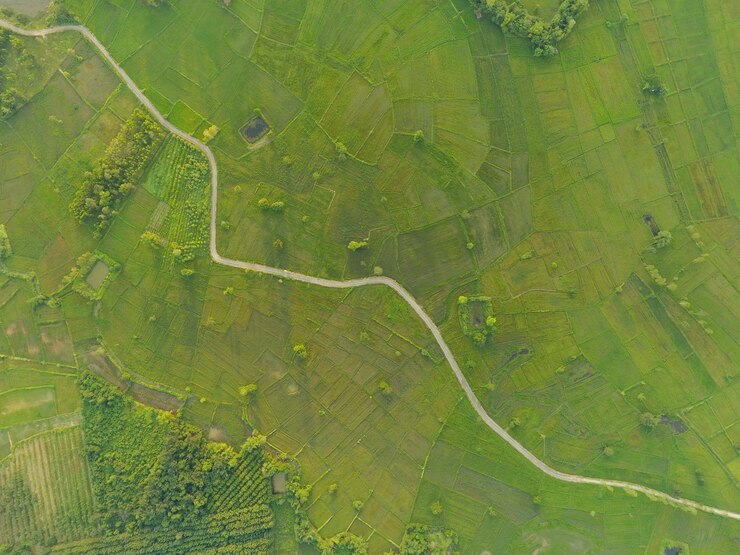 Foto luchtbeeld van een weg midden in een landbouwveld
