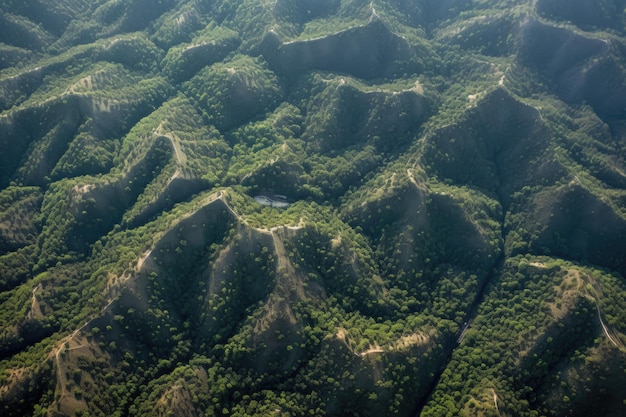 Luchtbeeld van hergroeipatronen in een bosbrandgebied gecreëerd met generatieve AI