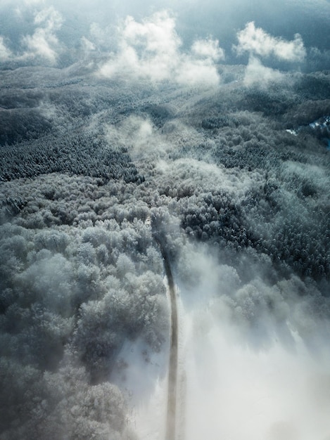 Foto luchtbeeld van het bos