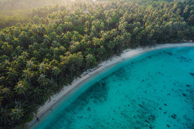 Foto luchtbeeld van het eiland en de kokosnotenbomen op het eiland in de ochtend
