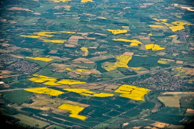 Foto luchtbeeld van het gele veld