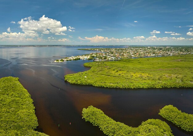 Luchtbeeld van landelijke particuliere huizen in afgelegen voorsteden gelegen in de buurt van Florida wilde dieren wetlands met groene vegetatie aan de kust van de baai Leven dicht bij de natuur concept