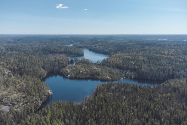 Luchtbeeld van meren in naaldbossen