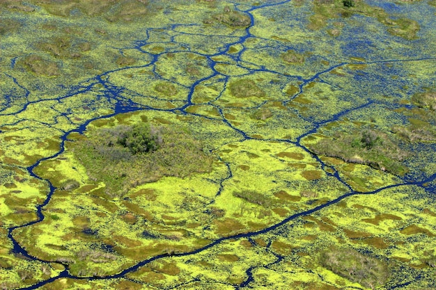 Foto luchtbeeld van moerassen en rivier