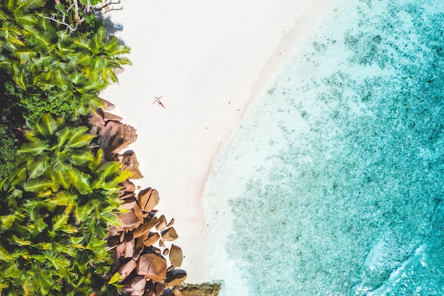 Luchtbeeld van palmbomen op het strand